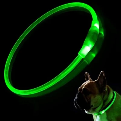 Image of 10 PCS LED Dog Collar, USB Rechargeable Flashing Collar for Night Safety, Adjustable, Waterproof, Bright Illuminated Dogs, One Size Fits All, Green