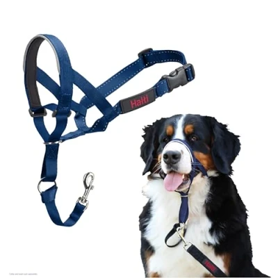 Image of HALTI Headcollar To Stop Your Dog Pulling on the Lead. Adjustable, Reflective and Lightweight, with Padded Nose Band. Training Anti Pull Collar for Large Dogs (Size 4, Cobalt Blue)