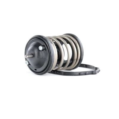 Image of 11517805192, 11518512234 Engine thermostat GATES TH47487G1 87C with gaskets/seals BMW: 3 Touring, 5 1 Coupe, MINI: Hatchback, Clubman