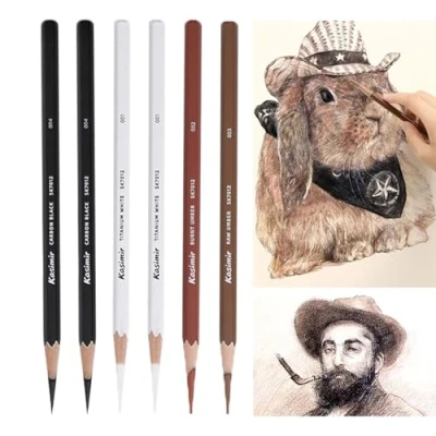 Image of 6 Pcs Colored Charcoal Pencils White Black Brown Suntan Tinted Sketch Drawing Set Art Painting Supplies Pens for Sketching Shading Chalk Beginners &amp; Artists