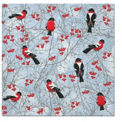 Image of 3 PLY Nordic Style Christmas Tissue Paper Napkins 33cm x Serviettes Pack of 20 (Winter Birds)