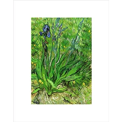 Image of Wee Blue Coo Van Gogh Iris 1889 Old Master Picture Wall Art Print