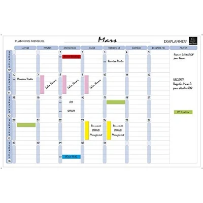 Image of Exacompta 57150E Magnetic Monthly Planner 90 x 59 cm White