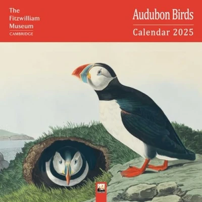 Image of Fitzwilliam Museum: Audubon Birds Wall Calendar 2025 (Art Calendar)