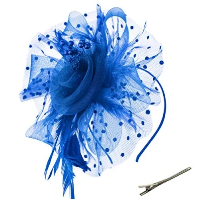Image of DRESHOW Fascinators Hat Flower Mesh Ribbons Feathers on a Headband and Forked Clip Cocktail Tea Party Headwear for Girls Women