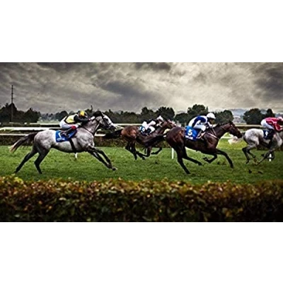Image of KESIMO Puzzle 1000 Piece Puzzles For Adults Sports/Horse Racing Papery Leisure Toy Educational Intellectual Decompressing Game Home Decoration Art Gift 38 * 26cm