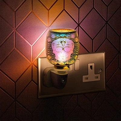 Image of Plug in Warmer Skull