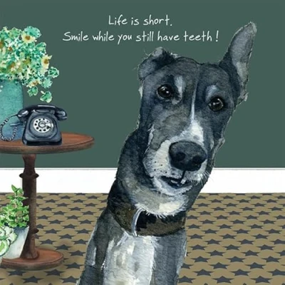 Image of Greyhound Smile Little Dog Laughed Greeting Card Blank Inside Any Occasion SQD180