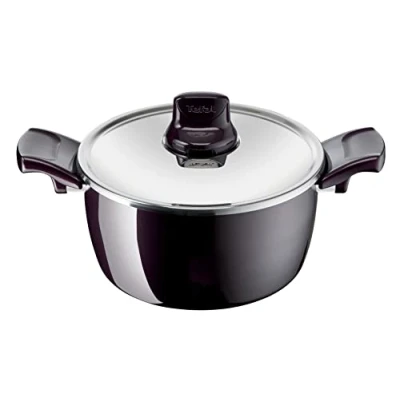 Image of Tefal Resist Intense Stewpot with Stainless Steel Lid 24 Cm