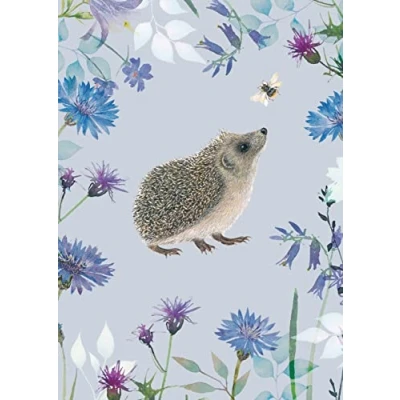 Image of Otter House Notecard Pack Hedgehog &amp; Bee