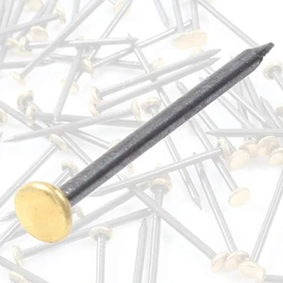 Image of 50x Flat Head 25mm/1&quot; Brass Pins, Photo/Wall Art Hanging Nail Hooks