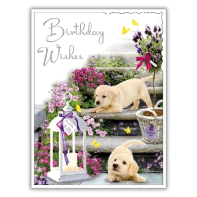 Image of Female Birthday Card for Her General Women Dog and Garden Design Labrador Puppies Special Finishes Illustrated Insert Leaf Made in the UK