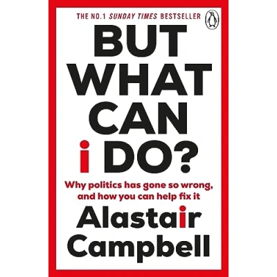 Image of But What Can I Do?: Why Politics Has Gone So Wrong, and How You Help Fix It