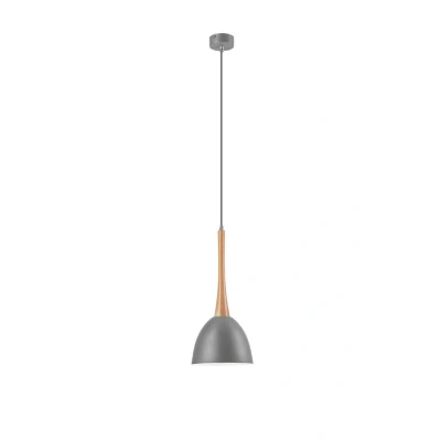 Image of Tulip Dome Pendant Ceiling Lights Silver, 1x E27