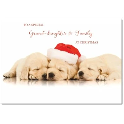 Image of doodlecards Granddaughter and Family Christmas Card Puppies with Santa Hat Medium Size for &amp; Plain Envelope