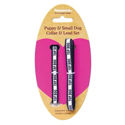 Image of Rosewood Td Puppy Collar and Lead Set