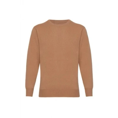 Image of Lona Scott Mens Cashmere Jumper, Crew Neck, Beige S