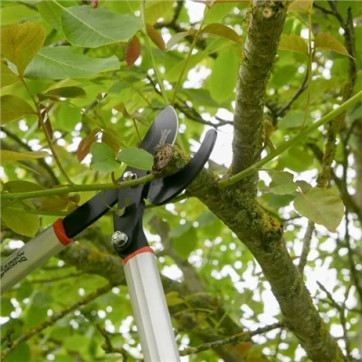 Image of Wilkinson Sword Geared Bypass Loppers