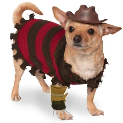 Image of Rubie&#039;s unisex adult Costume, Extra Large Official Rubie s A Nightmare on Elm Street Freddy Krueger Halloween Pet Dog Costume Size X Large, Multicolor, XL UK