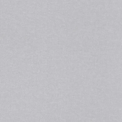 Image of Albany Wallpaper Textured Plain 252842