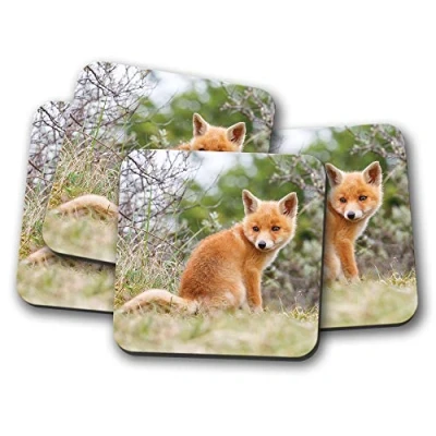 Image of 4 Set Ginger Baby Fox Coaster Cute Wildlife Animal Wild #15612