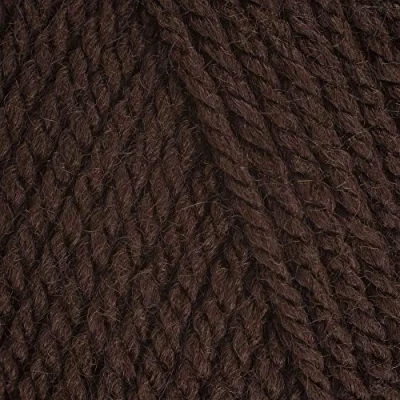 Image of Stylecraft Special Chunky Knitting Wool/Yarn 100g 1004 Dark Brown, 1 x Ball