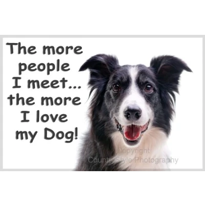 Image of Border Collie Fridge Magnet Sheepdog Gift