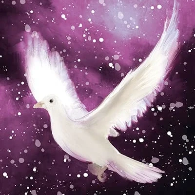 Image of Paper House Pack of 6 Artistic Charity Christmas Cards &#039;Flying Dove&#039; Snowy Night From The Great British Card Company