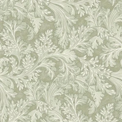 Image of Botanical Scroll Sage Green Wallpaper Floral Leaves Naturistic Classic Traditional Trendy Stylish Feature Wall