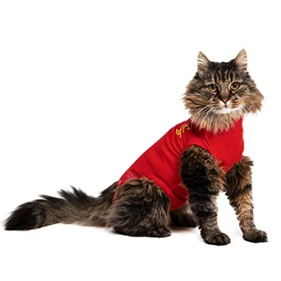 Image of MPS Medical Pet Shirt Cat, Surgery Recovery Suit, Red, Small