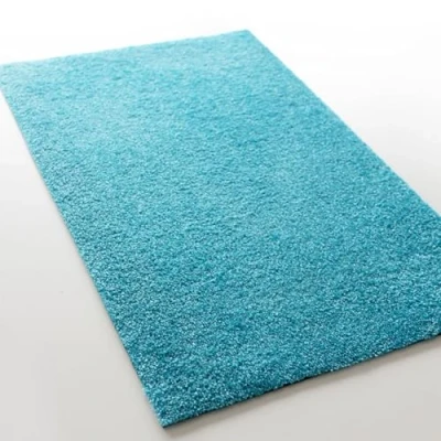 Image of casa pura Rhine Dirt Trapper Mat, Doormat, Door Mat for Entrance Area, Doormat (50 x 80 cm, Turquoise, without Rubber Edge)