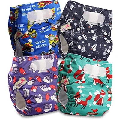 Image of Littles and Bloomz Baby Reusable Pocket Nappy Cloth Diaper, Standard Hook Loop, 4 Nappies, FLV2 0406