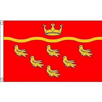 Image of AZ Flag East Sussex County 3x5 Ft 100D Polyester England Banner with Two Metal Grommets Fade Resistant Vivid Colors 3&#039; x 5&#039; Feet 150x90 Cm