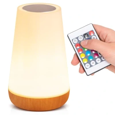 Image of Night Light, Dimmable LED Touch Table Lamp for Bedroom, 13 RGB Colors &amp; 5 Brightness, USB Rechargeable Bedside Lamp, Portable Remote Control Lights Living Room Bathroom