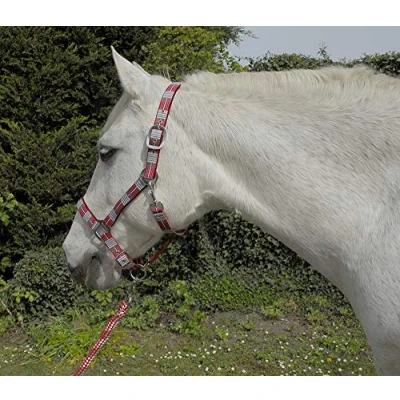 Image of Rhinegold Unisex&#039;s Carnival Headcollar &amp; Rope, Red Check, Pony