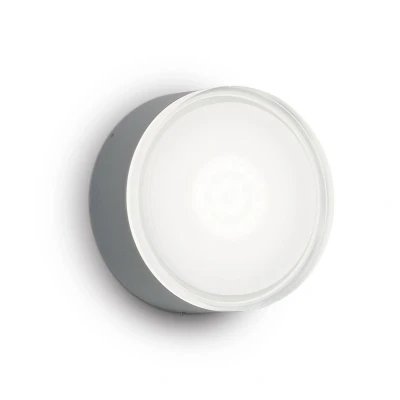 Image of Urano 1 Light Flush Ceiling Anthracite