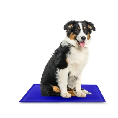 Image of ASAB Dog Cooling Mat 60 x 40cm Waterproof Summer Oxford Cloth Non Toxic Gel for Dogs and Cats Easy to Clean Pet Self Puppies Kittens Rabbit in Hot