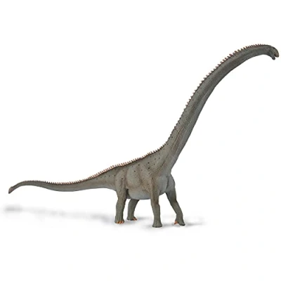 Image of CollectA Mamenchisaurus Deluxe 1:100 Scale