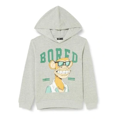 Image of NAME IT Nlnnuk Boredofdirectors Sweat Wh Bru Sky Hooded Sweatshirt, Grey Melange, 146 cm/152 cm