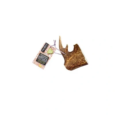 Image of Green &amp; Wilds Fallow Antler Dog Chew (Large)