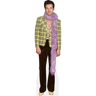 Image of Harry E. Styles (Feather Boa) Mini Size Cutout
