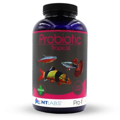 Image of NT Labs Pro F Probiotic Tropical Fish Food For Freshwater (Contain Viable Cultures) Granules Aquariums, Supports Immune System, Highly Nutritious Spirulina (360g)