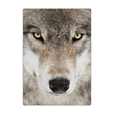 Image of Passport Holder Cover, PU Leather Travel Wallet Case Organiser for Passport, Business Cards, Credit Boarding Passes (Grey Wolf)