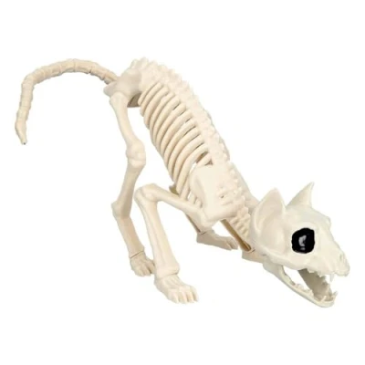 Image of Boland 72413 Cat Skeleton, Beige/Black, 50 (EU)