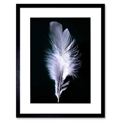 Image of Wee Blue Coo Photo Modern Black White Feather Bird Framed Wall Art Print