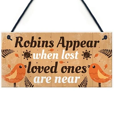Image of RED OCEAN Handmade Robin Memorial Bereavement Garden Hanging Plaque Grave Friendship Gift