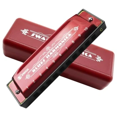 Image of Blues Harmonica Mouthorgan 10 Holes Armonica Diatonic Harp Key of C Mouth Organ Metal Woodwind Music Instrument Gift