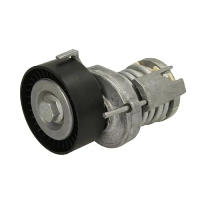 Image of 030145299C, 030145299F Tensioner Pulley SKF VKM 31015 VOLKSWAGEN: Polo IV Hatchback, GOLF 4, 6, SKODA: Fabia 2, I Hatchback
