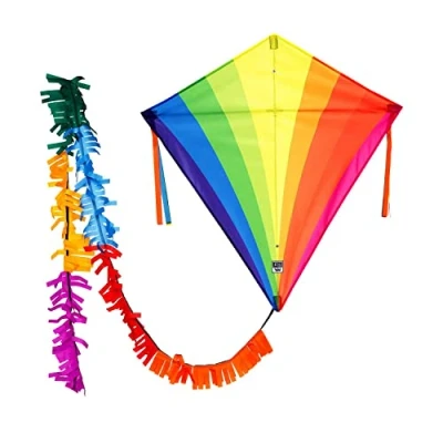 Image of Wolkenstuermer Eddy Rainbow Delta single line Traditional Flying Kite