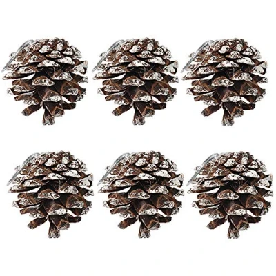 Image of 6pcs Christmas Pine Cones Snow Tipped Natural Cone with String for Tree Decoration